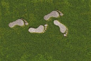 Emissions-Footprints-300x200.jpg